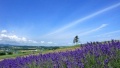 操逼操逼操操逼中日韩操逼操逼操操逼淫片日本一地6日游  境外旅游 6880元/人